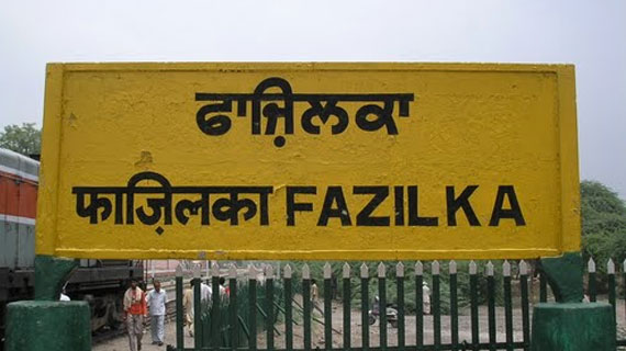 fazilka