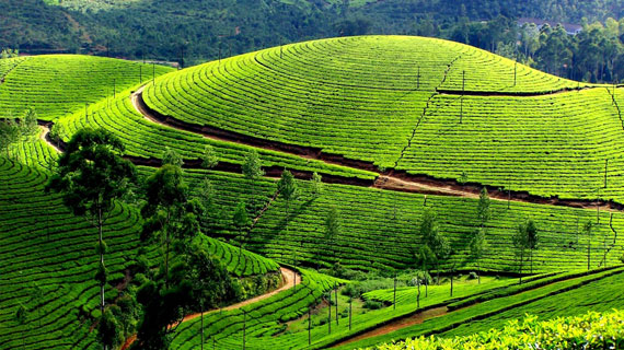 munnar