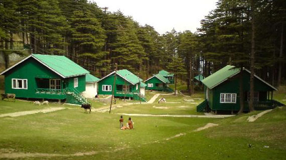 patnitop