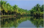 Goa Cochin Tour